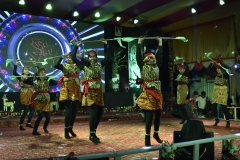 DSC8998